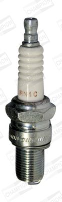 RN1C-T10_1728091.JPG