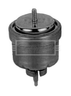 BEM3340_210196.JPG