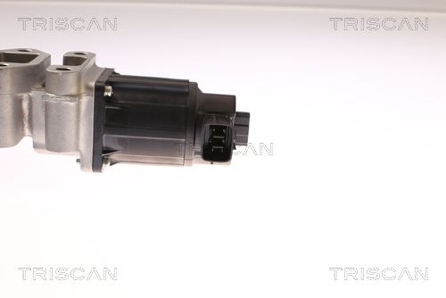 TRIS881324017_2.JPG