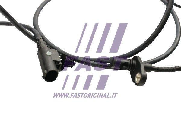 FT80419_2_1.JPG