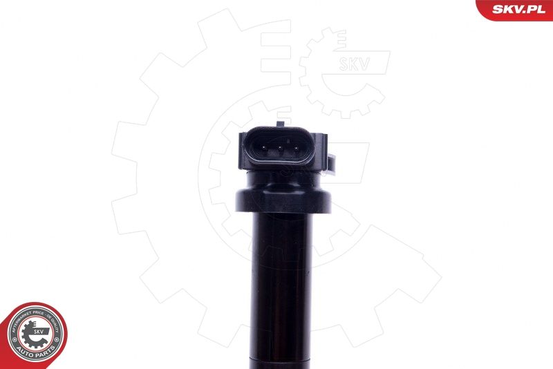 ESEN SKV 03SKV314 Ignition Coil