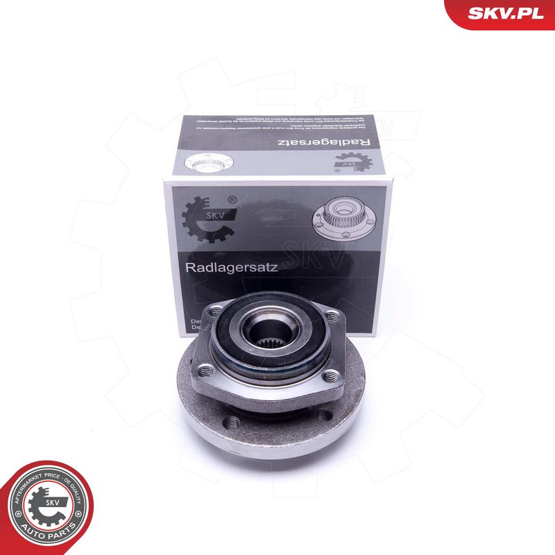 Rattalaagrikomplekt, ESEN SKV 29SKV411