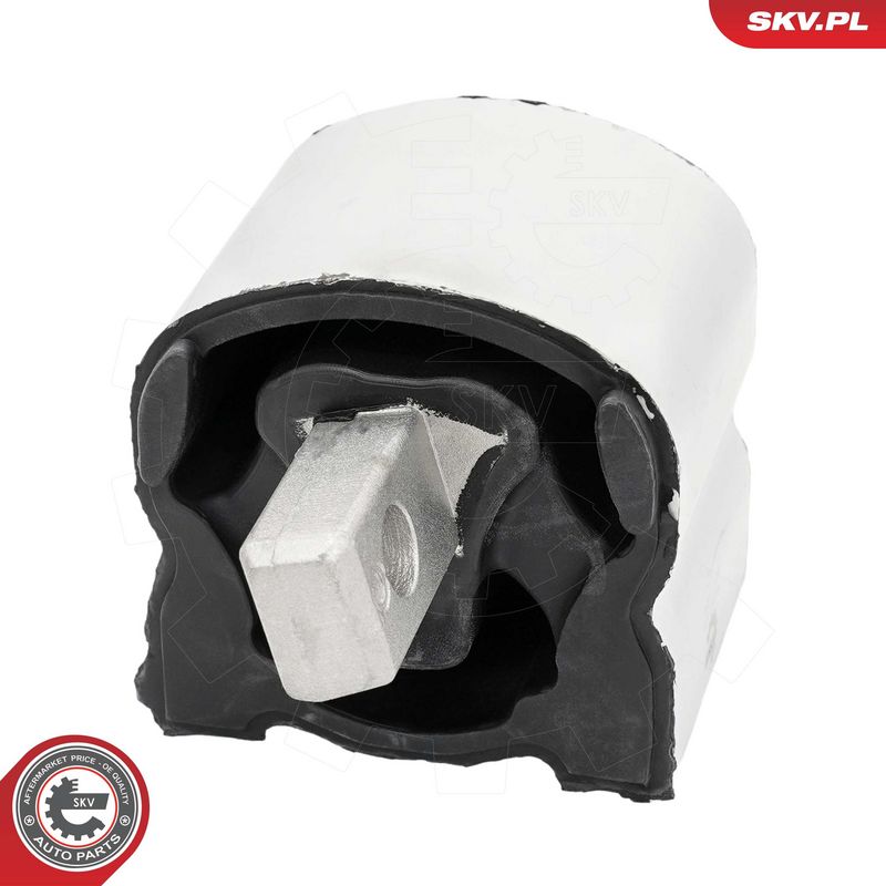 Paigutus, Mootor, ESEN SKV 75SKV129