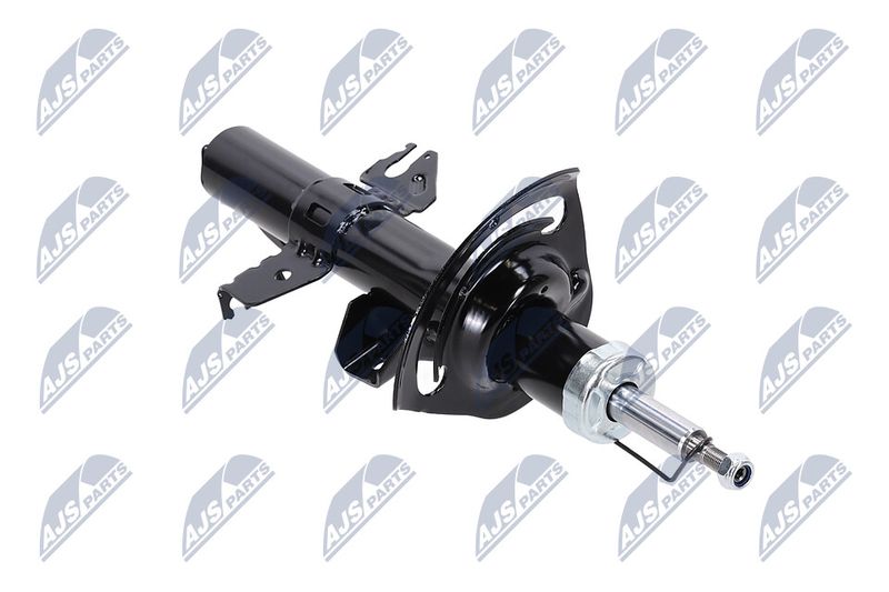 Amort, NTY A-CH-084
