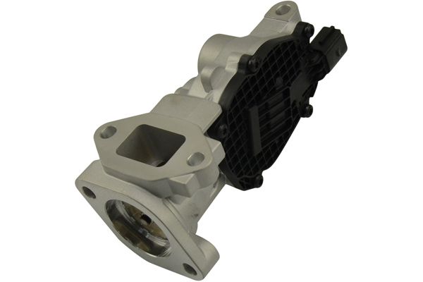 Kavo Parts ERG vožtuvas