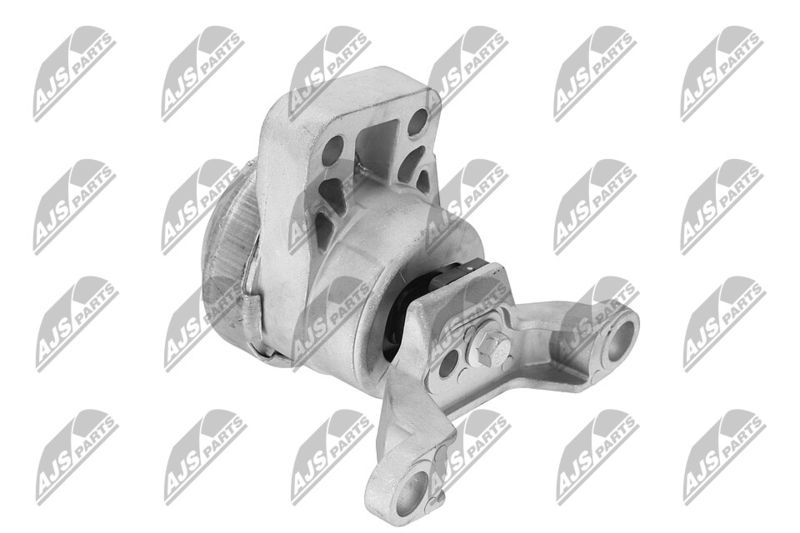 Paigutus, Mootor, NTY ZPS-FR-033