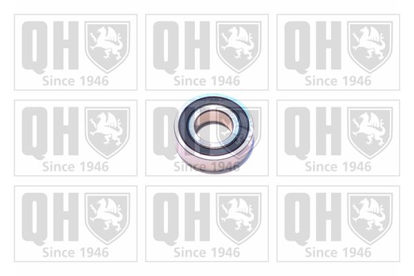 QH_XB9918.JPG