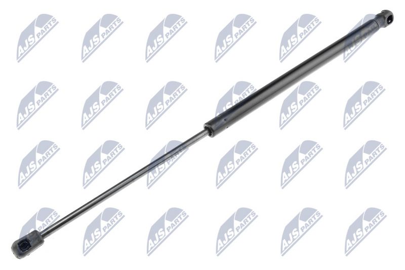 NTY AE-CT-036 Gas Spring, boot/cargo area