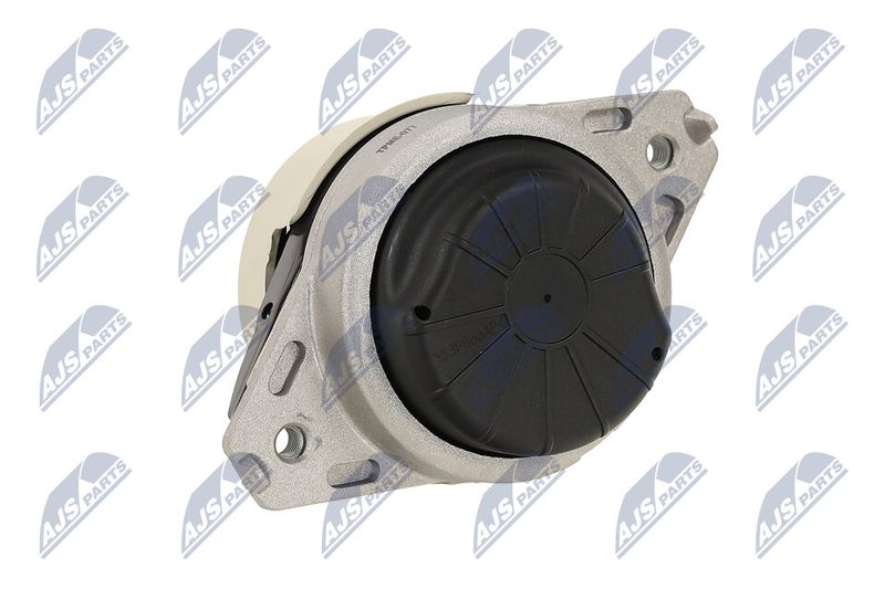 Paigutus, Mootor, NTY ZPS-ME-077