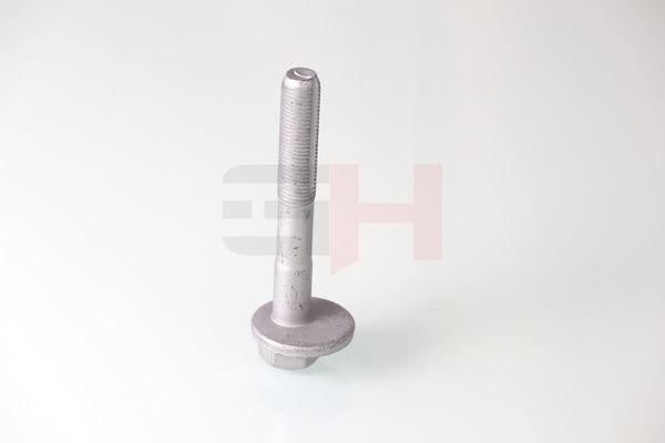 GH GH-399901 Camber Correction Screw