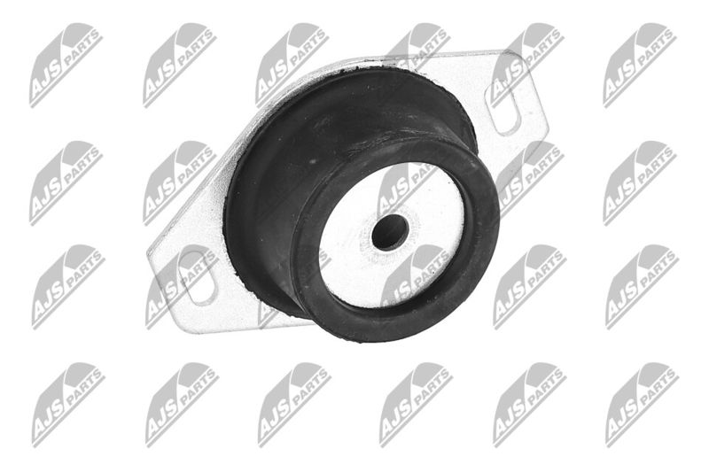 Paigutus, Mootor, NTY ZPS-PE-009