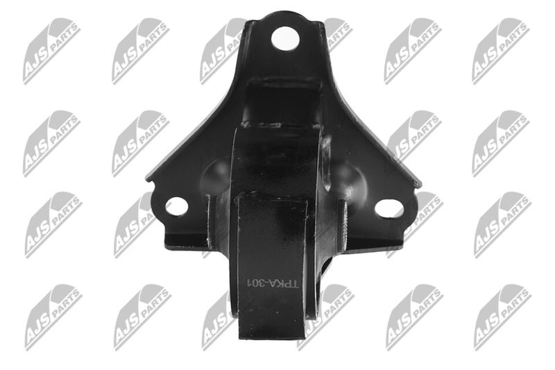 Paigutus, Mootor, NTY ZPS-KA-301