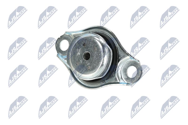 Paigutus, Mootor, NTY ZPS-FT-005