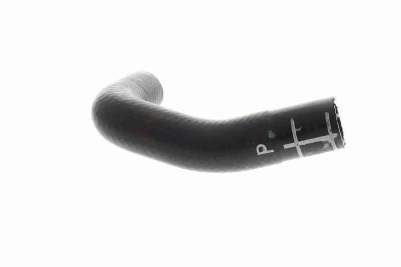 VAICO V10-4860 Radiator Hose