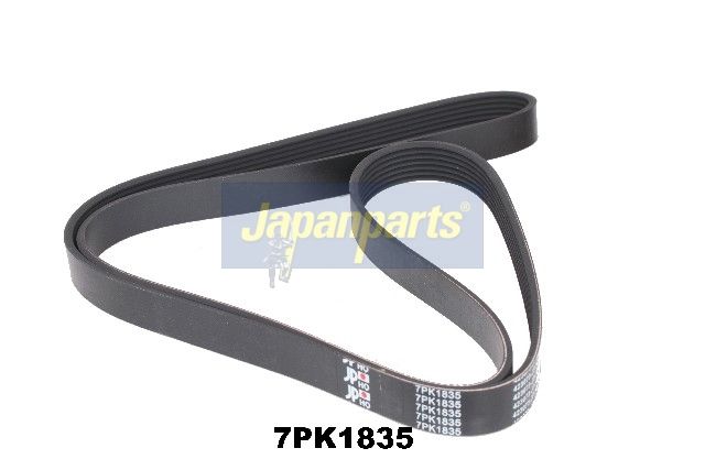 Correa trapecial poli V