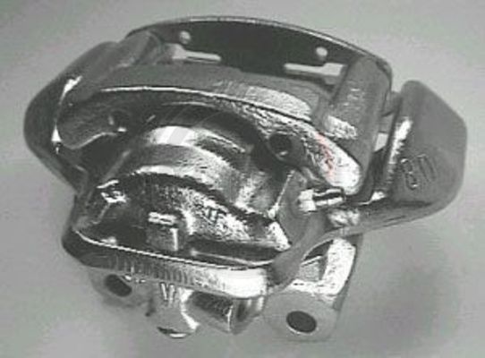 421502.JPG
