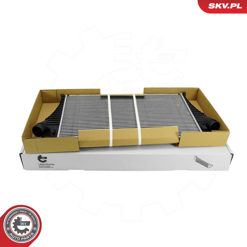 This part match OEM code: 12765753