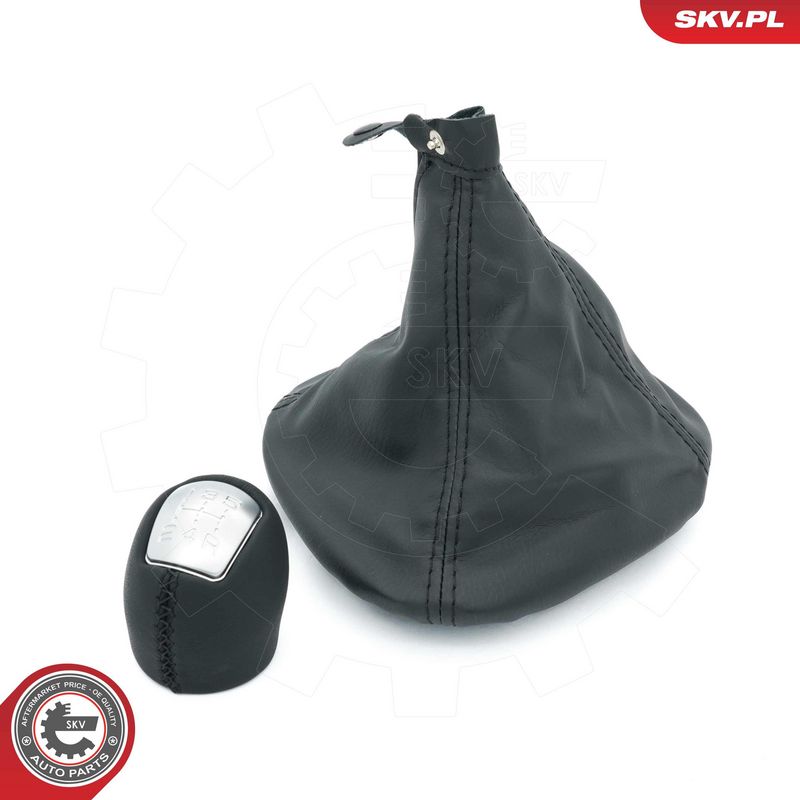 Käigukanginupp, ESEN SKV...
