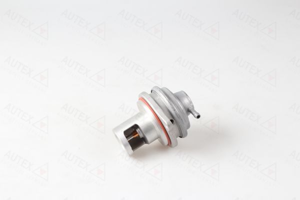 AGR-Клапан AUTEX