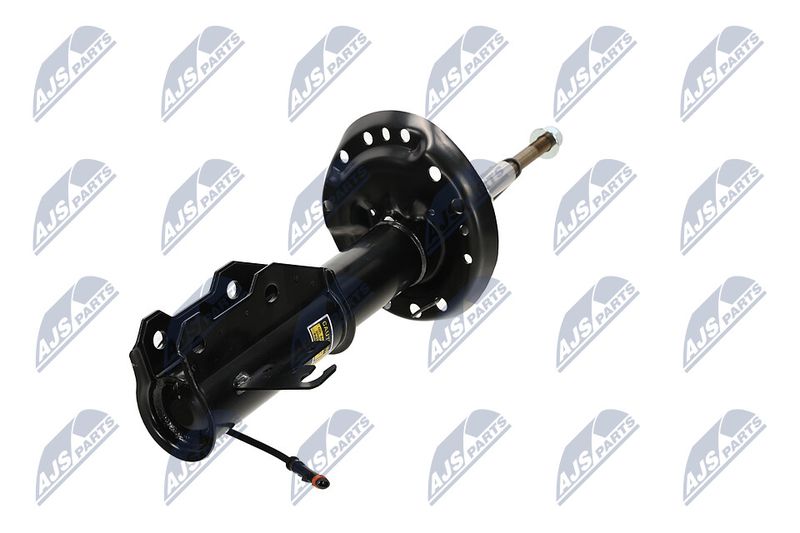 Amort, NTY A-PL-062