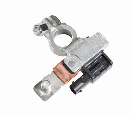 Senzor, management baterie 6PK 010 842-001 HELLA