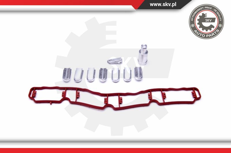 Ремонтний комплект, модуль впускної труби, Skv Germany 49SKV521