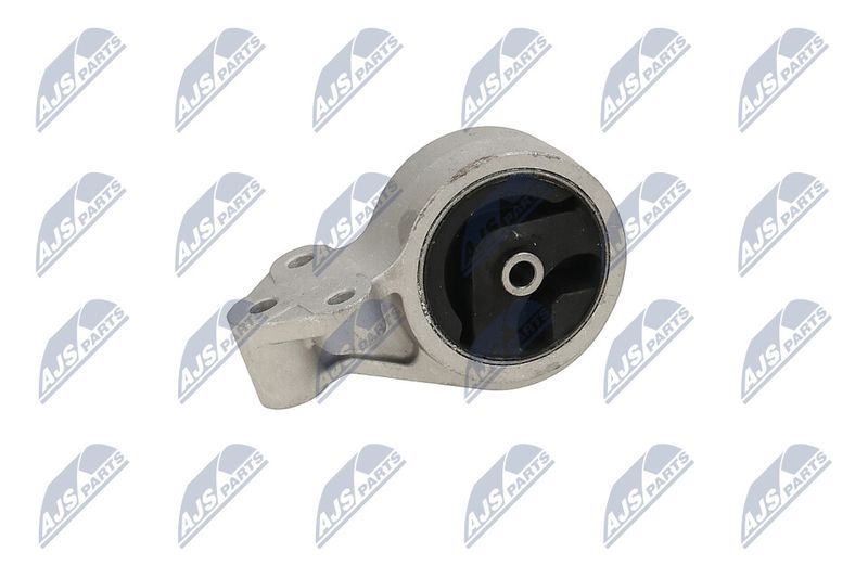 Paigutus, Mootor, NTY ZPS-MS-016