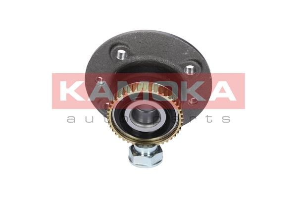 KAMOKA 5500001 Wheel Bearing Kit