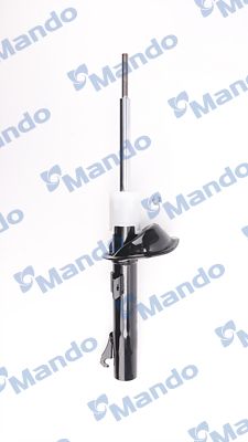 MSS015982(2).JPG