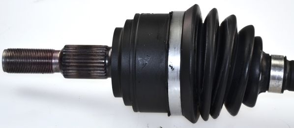 GKND12954B.JPG