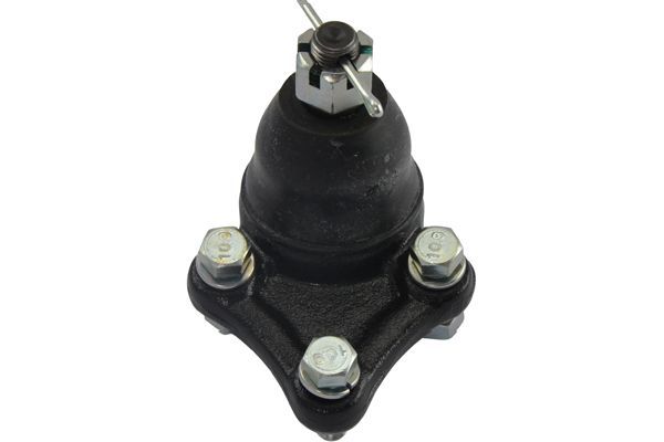 Kavo Parts Šarnyras / girgždukas