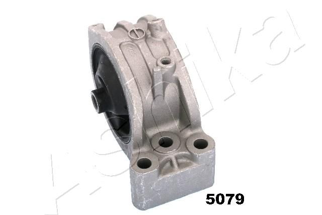 GOM-5079_1.JPG
