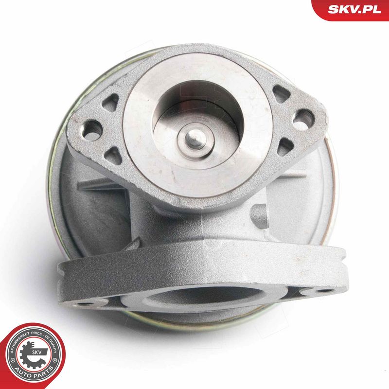 EGR-klapp, ESEN SKV 14SKV098