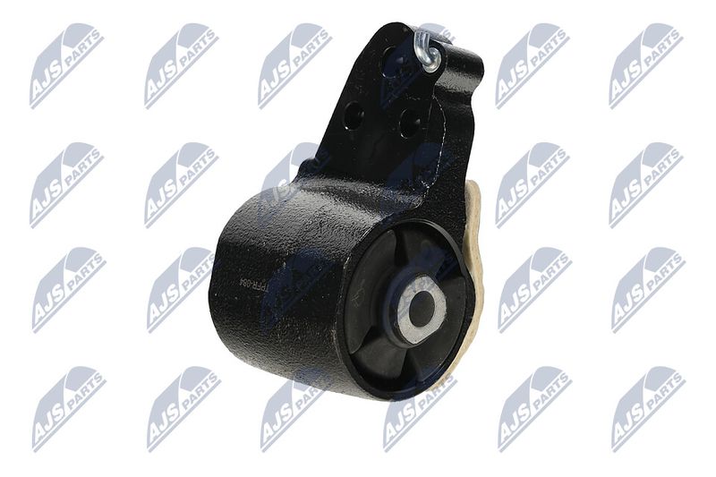 Paigutus, Mootor, NTY ZPS-FR-084