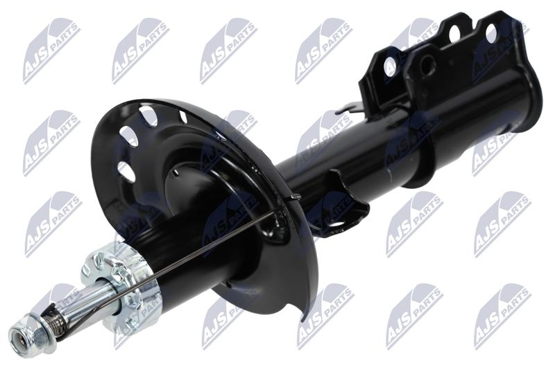 A-PL-010_1-WM.JPG