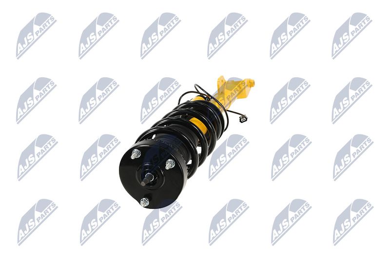 Amort, NTY A-CH-122