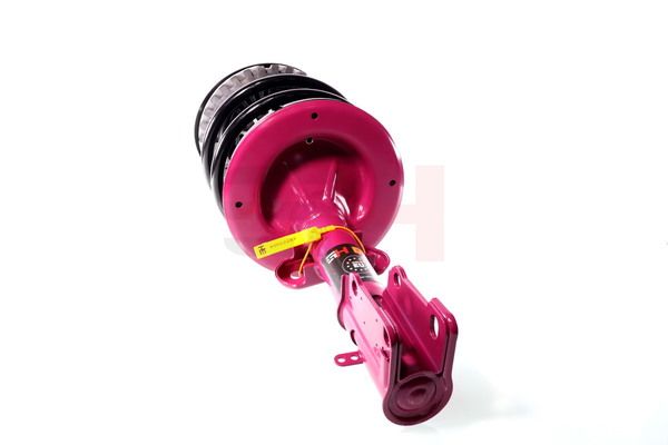 Vedruamort, GH GH-359321C02