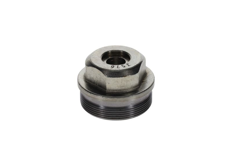 Surub F 002 D13 576 BOSCH