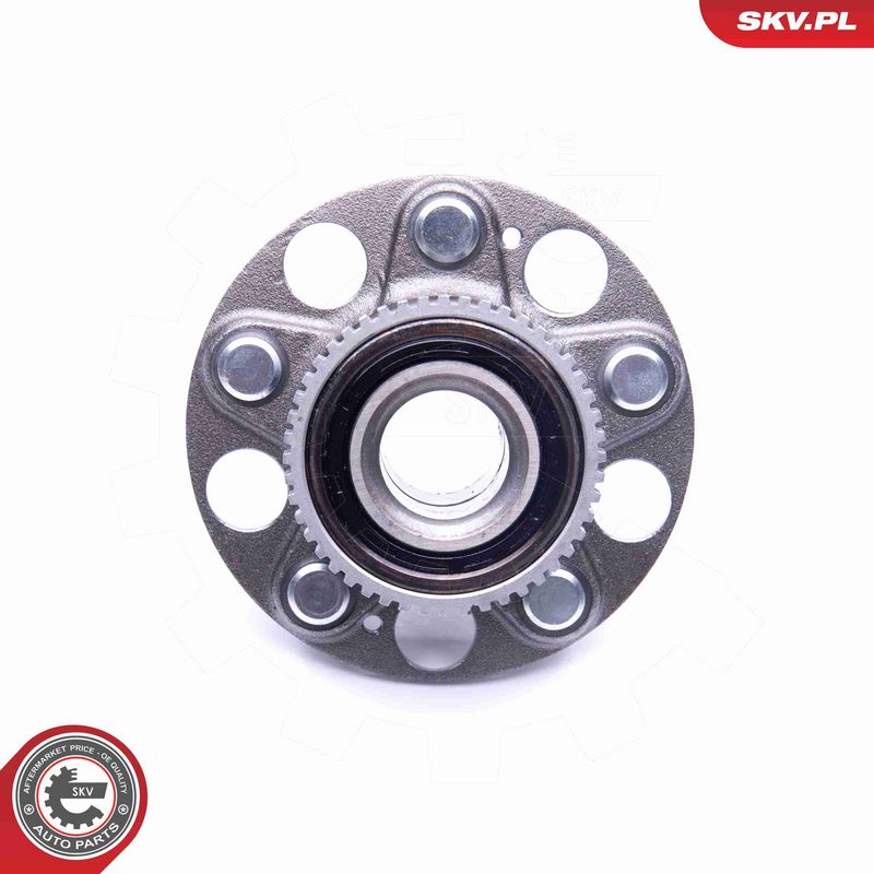 ESEN SKV 29SKV213 Wheel Bearing Kit