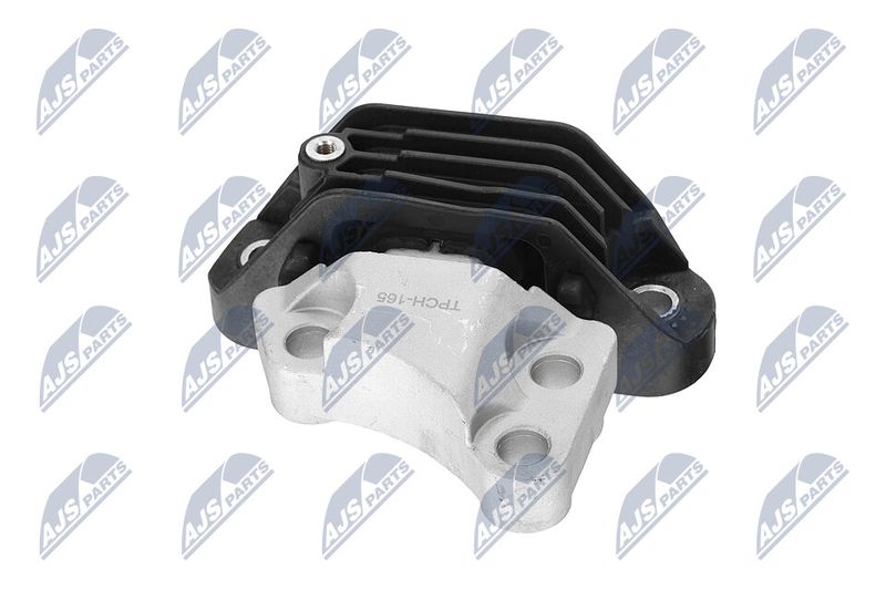 Paigutus, Mootor, NTY ZPS-CH-165