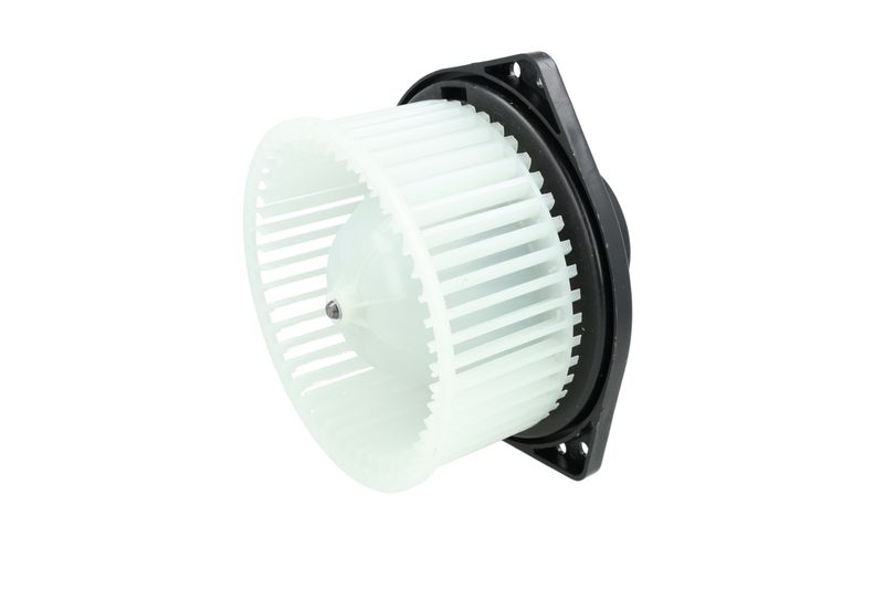 Salongipuhur, NRF 34303