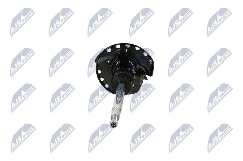 Amort, NTY A-LR-032