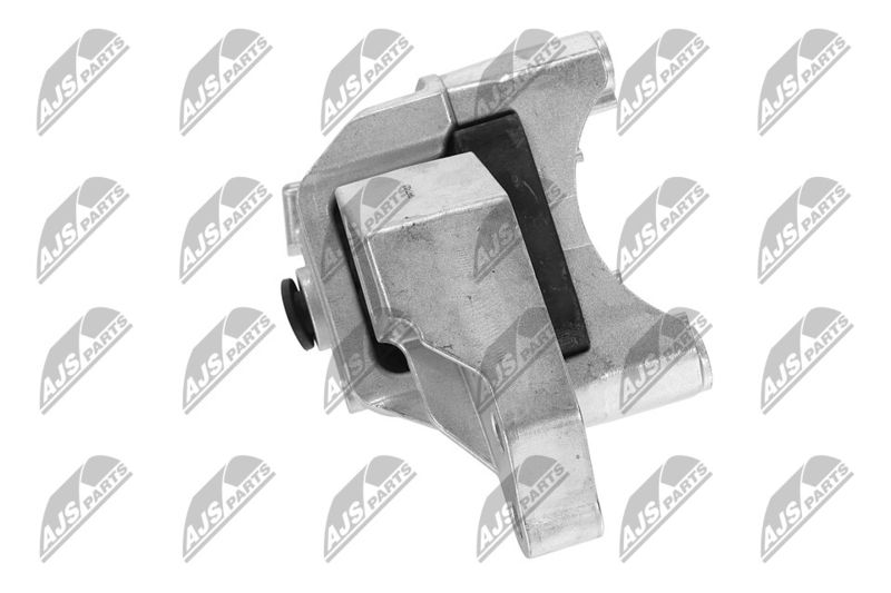 Paigutus, Mootor, NTY ZPS-FT-021