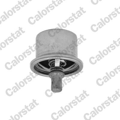 Termostat, chladivo THS19134.82