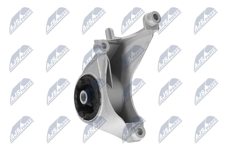 Paigutus, Mootor, NTY ZPS-CH-149