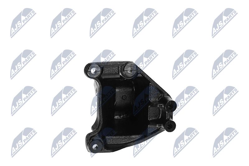 Paigutus, Mootor, NTY ZPS-CH-173