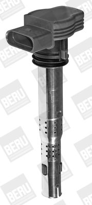 BorgWarner (BERU) ZSE032 Ignition Coil