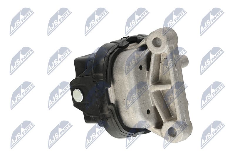 Paigutus, Mootor, NTY ZPS-CH-019