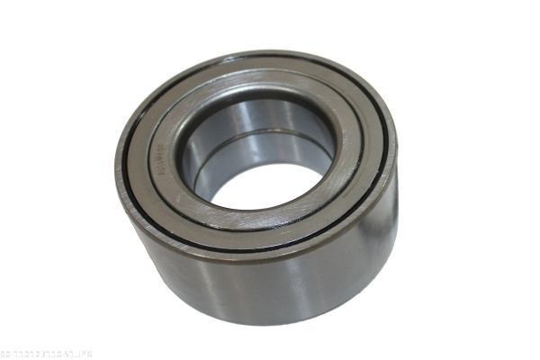 AUTOMEGA 110123110 Wheel Bearing Kit