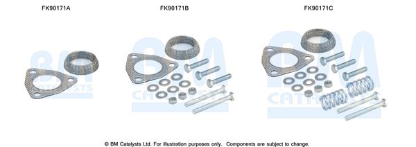 BM CATALYSTS szerelőkészlet, katalizátor FK90171